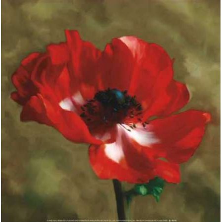 Posterazzi Brilliance II Canvas Art - Janel Pahl (24 x 24)