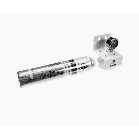 Manitowoc Ice AR-10000-P