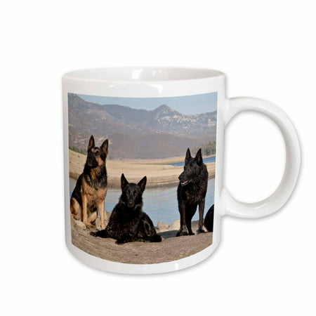 3dRose Four German Shepherd dogs - US05 ZMU0361 - Zandria Muench Beraldo Ceramic Mug 15-ounce
3dRose Four German Shepherd dogs - US05 ZMU0361 - Zandria Muench Beraldo Ceramic Mug 15-ounce