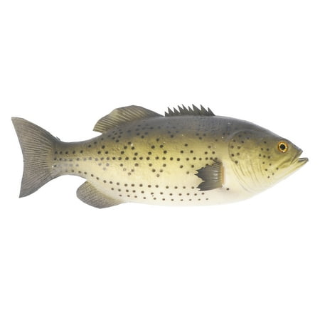 Rosarivae 1pc Home Fish Decor Simulation Fish Lifelike Fish Decor Fish Plaything