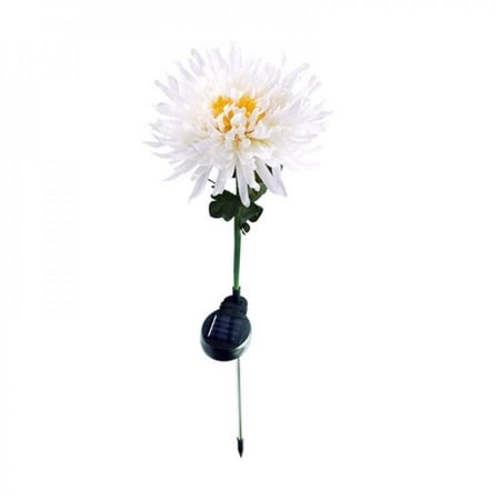 LED Solar Chrysanthemum Lamp Outdoor Colorful Light Solar Small Wild Flower Feastive Day Courtyard Lawn Lamp Garden Decoration
LED Solar Chrysanthemum Lamp Outdoor Colorful Light Solar Small Wild Flower Feastive Day Courtyard Lawn Lamp Garden Decoration