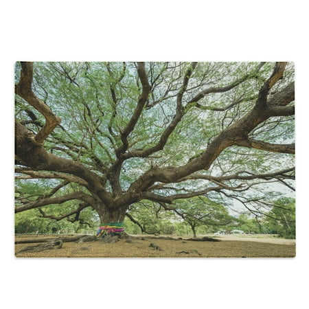 Nature Cutting Board Magnificent Rain Tree in Thailand with Long Branches Rural Scenery Growth Picture Decorative Tempered Glass Cutting and Serving Board Large Size Brown Green by Ambesonne
Nature Cutting Board Magnificent Rain Tree in Thailand with Long Branches Rural Scenery Growth Picture Decorative Tempered Glass Cutting and Serving Board Large Size Brown Green by Ambesonne