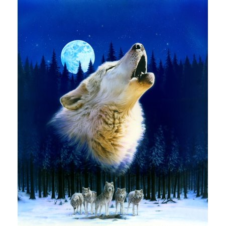 Howling Wolf Variant 1 Rolled Canvas Art - Robin Koni (24 x 24)