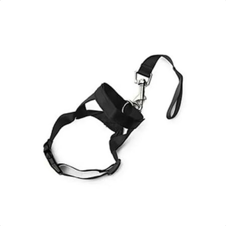 HNGPNGH Ultimate Comfort and Durability High-Quality Soft Black Nylon Training Sessions for Superior Performance and Longevity in Every Session
HNGPNGH Ultimate Comfort and Durability High-Quality Soft Black Nylon Training Sessions for Superior Performance and Longevity in Every Session