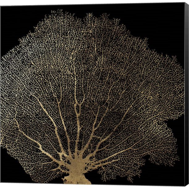 Honeycomb Coral II by Aimee Wilson, Canvas Wall Art