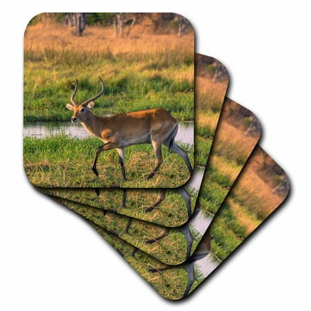 3dRose Botswana. Okavango Delta. Khwai Concession. Red lechwe Kobus leche. - Soft Coasters set of 8
3dRose Botswana. Okavango Delta. Khwai Concession. Red lechwe Kobus leche. - Soft Coasters set of 8