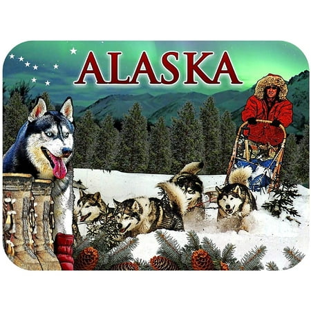 Alaska Dog Sledding and Northern Lights Fridge Magnet