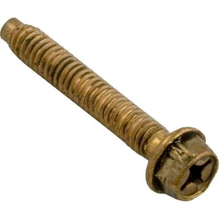 Pentair American Products Light Bolt Spabrite 1/4-20 x 1 Part # 79210600
