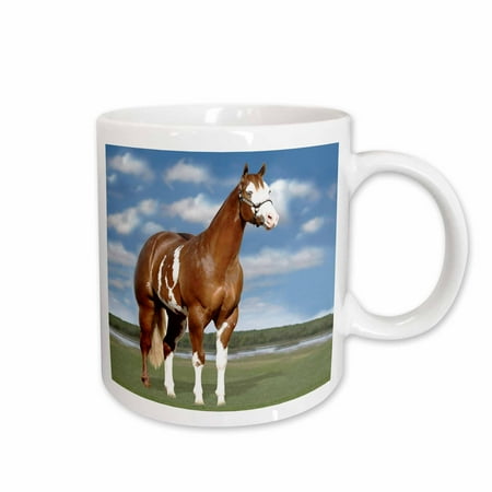 3dRose Champion Paint Quarter Horse Ceramic Mug 11-ounce
