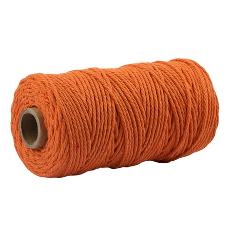 ZTTD Colorful Cotton Rope Diy Hand Woven 3mm Thick Cotton Rope Woven Tapestry Rope Tied Rope A
ZTTD Colorful Cotton Rope Diy Hand Woven 3mm Thick Cotton Rope Woven Tapestry Rope Tied Rope A