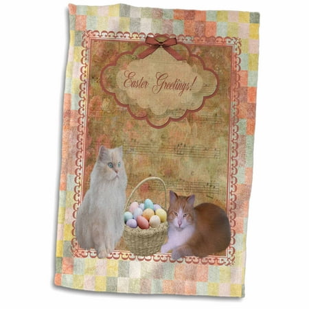 3dRose Kitty Cats with Easter Basket of Eggs on Musical Sheet Background Coral - Towel 15 by 22-inch
3dRose Kitty Cats with Easter Basket of Eggs on Musical Sheet Background Coral - Towel 15 by 22-inch