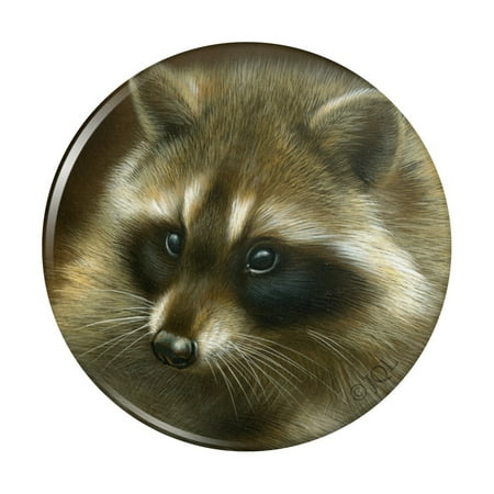 Raccoon Masked Bandit Kitchen Refrigerator Locker Button Magnet