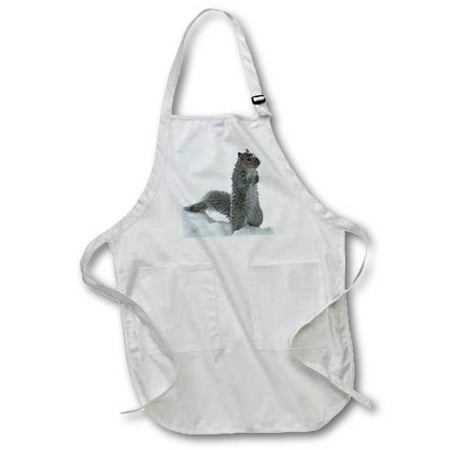 Cute Squirrel in the Snow Full Length Apron with Pockets 22w x 30l apr-12329-1
Cute Squirrel in the Snow Full Length Apron with Pockets 22w x 30l apr-12329-1