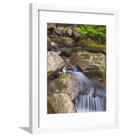 Jordan Stream in Acadia National Park, Maine, Usa Framed Print Wall Art By Chuck Haney
