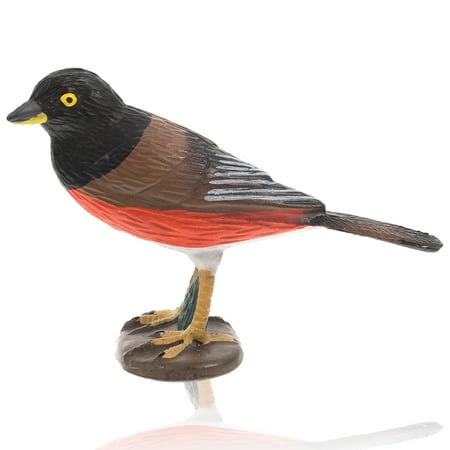 HOMEMAXS Plastic Artificial Bird Simulation Bird Craft Garden Ornament Bird Figurine Bird Model
HOMEMAXS Plastic Artificial Bird Simulation Bird Craft Garden Ornament Bird Figurine Bird Model