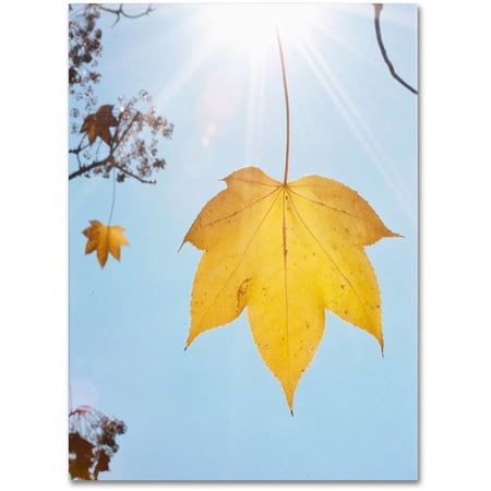 Trademark Fine Art "Autumn Inspiration" Canvas Art by Kurt Shaffer