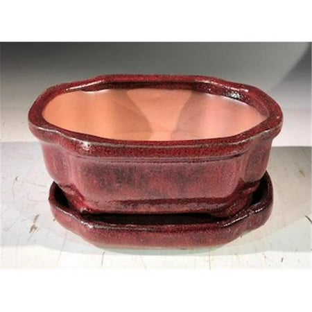 6 x 4.5 x 2.5 in. Ceramic Bonsai Pot with Humidity Drip Tray Parisian Red - Rectangle
6 x 4.5 x 2.5 in. Ceramic Bonsai Pot with Humidity Drip Tray Parisian Red - Rectangle