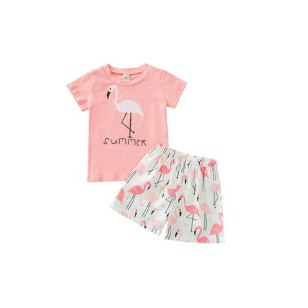 Frobukio Infant Baby Girl Summer Clothes Set Short Sleeve Round Neck Letter T-Shirt + Flamingo Print Shorts Pink 18-24 Months
Frobukio Infant Baby Girl Summer Clothes Set Short Sleeve Round Neck Letter T-Shirt + Flamingo Print Shorts Pink 18-24 Months