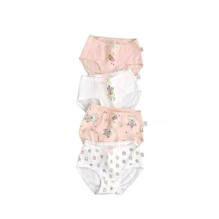 bangyoudaoo 4Pcs Baby Kids Underwear Breathable Cotton Panties Toddler Girls Undies Soft Assorted Briefs Style3 140
bangyoudaoo 4Pcs Baby Kids Underwear Breathable Cotton Panties Toddler Girls Undies Soft Assorted Briefs Style3 140