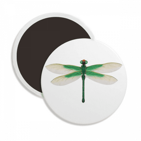Traditional Chinese Kite Dragonfly Pattern Round Ceracs Fridge Magnet Keepsake Decoration
Traditional Chinese Kite Dragonfly Pattern Round Ceracs Fridge Magnet Keepsake Decoration