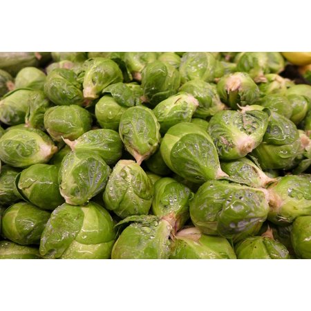 canvas print ingredients green brussel sprouts vegetable garden stretched canvas 10 x 14