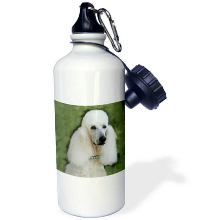 3dRose Standard Poodle Sports Water Bottle 21oz