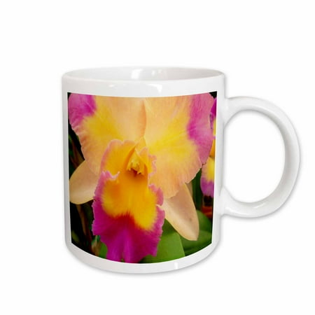 3dRose Gorgeous Orchid Ceramic Mug 11-ounce