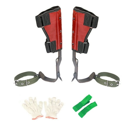 Geruite Tree Climbing Gear | Tree Climbing Spikes for Shoes Boots | Tree Climbing Equipment Artifact Kit Climber Arborist Aider Tool for Tree Work with Gloves
Geruite Tree Climbing Gear | Tree Climbing Spikes for Shoes Boots | Tree Climbing Equipment Artifact Kit Climber Arborist Aider Tool for Tree Work with Gloves