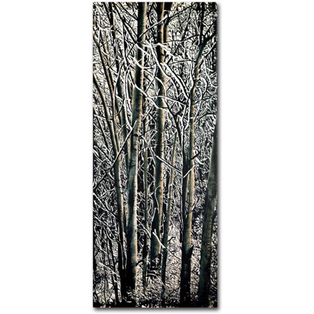 Trademark Fine Art "Aspen Winter Panel 03" Canvas Art by Roderick Stevens