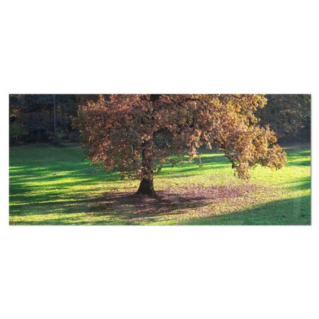 DESIGN ART Lonely Beautiful Autumn Tree - Landscape Glossy Metal Wall Art