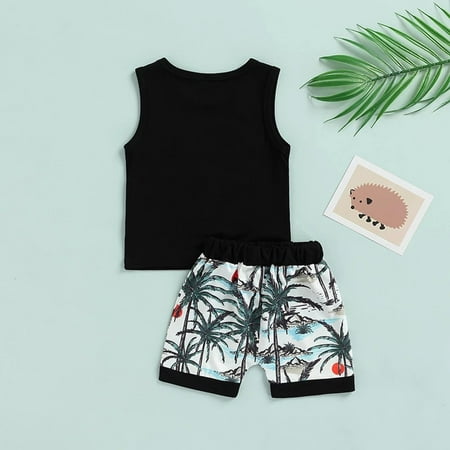 TOWED22 Summer Outfits For Toddler Boys Baby Girls Summer Outfits Sleeveless Striped Crop Top T-Shirt Shorts Clothes Set Black
TOWED22 Summer Outfits For Toddler Boys Baby Girls Summer Outfits Sleeveless Striped Crop Top T-Shirt Shorts Clothes Set Black