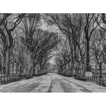 Pathway through Central park New York Poster Print by Assaf Frank