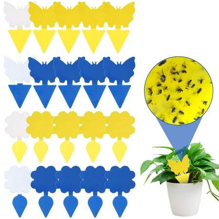 Toorise Fly Sticky Trap 20Pcs PVC Insect Sticky Board Double-Sided Sticky Trapper Waterproof Strong-Adhesive Plant Sticky Paper for Orchards Vegetable Greenhouses Potted Plants
Toorise Fly Sticky Trap 20Pcs PVC Insect Sticky Board Double-Sided Sticky Trapper Waterproof Strong-Adhesive Plant Sticky Paper for Orchards Vegetable Greenhouses Potted Plants