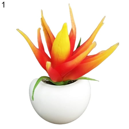 HengL Succulent Shape Refrigerator Magnets Removable Plastic No Scratch Whiteboard Magnets Kitchen Decor