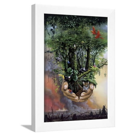 Save the Rainforest Framed Print Wall Art By Harro Maass