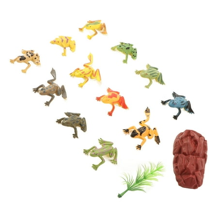 Amphibian Toy Set Frogs Model Elasticity For Early Education For Children