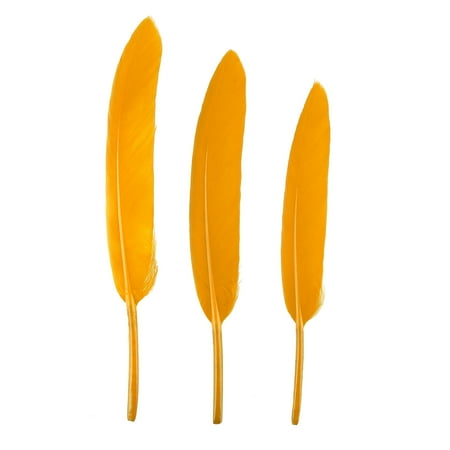 Chueow 50pc Feather Small Straight Knife Colored Feather Kindergarten DIY Craft Kitchen Supplies
Chueow 50pc Feather Small Straight Knife Colored Feather Kindergarten DIY Craft Kitchen Supplies