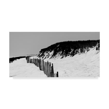 Trademark Fine Art 'Shore Panorama I' Canvas Art by Jeff Pica