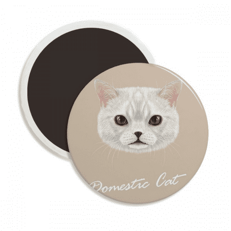 White Domestic Cat Pet Animal Round Ceracs Fridge Magnet Keepsake Decoration