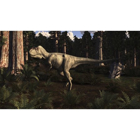 Albertosaurus sarcophagus wanders a prehistoric forest Poster Print
