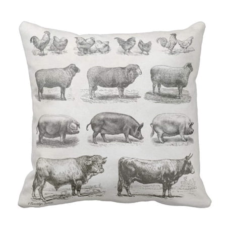 ARTJIA Vintage Farm Animal In Whites & Greys Pillowcase Throw Pillow Cover 20x20 inches