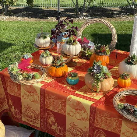 Thanksgiving Tablecloth with Fall Pumpkin Plaid Fall Tablecloth Waterproof Wrinkle Free Thanksgiving Table Cloths for Thanksgiving Decor Thanksgiving Tablecloth for Rectangle Tables 60 X 120 Inch
Thanksgiving Tablecloth with Fall Pumpkin Plaid Fall Tablecloth Waterproof Wrinkle Free Thanksgiving Table Cloths for Thanksgiving Decor Thanksgiving Tablecloth for Rectangle Tables 60 X 120 Inch