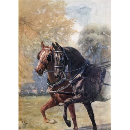 In Double Harness Illustration By Lucy Kemp Welch From The Book Black Beauty By A Sewell Published 1915 Stretched Canvas - Ken Welsh Design Pics (24 x 34)