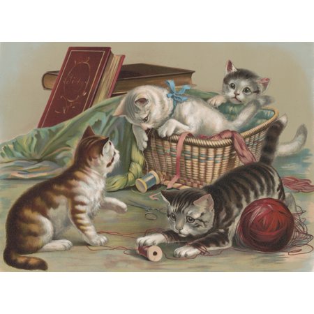 Chromolithograph c1898 Full of fun Stretched Canvas - Unknown (18 x 24)