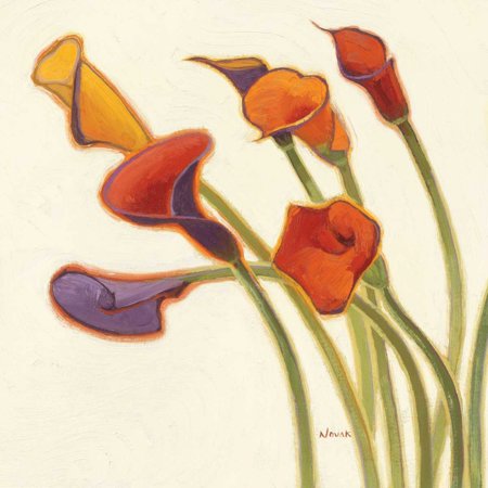 Callas in the Wind II Stretched Canvas - Shirley Novak (24 x 24)