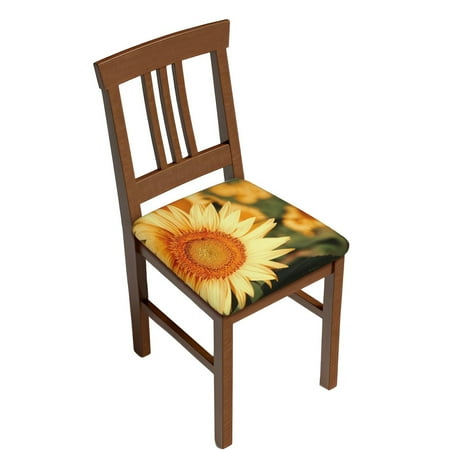 Sigee Golden Sunflower In Field for Square Chair Cushion Covers for Furniture Protector Couch Cushion Slipcovers-Four Pieces
Sigee Golden Sunflower In Field for Square Chair Cushion Covers for Furniture Protector Couch Cushion Slipcovers-Four Pieces