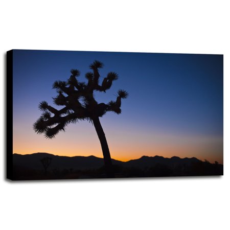 Joshua Tree II-JANSUL114712 Print 9.75"x14.5" by Janice Sullivan in a Canvas Stretched on 3/4" Bars