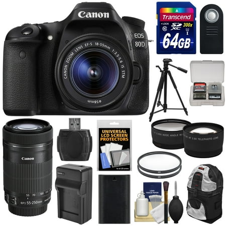 Canon EOS 80D Wi-Fi Digital SLR Camera & EF-S 18-55mm IS STM with 55-250mm IS STM Lens + 64GB + Battery & Charger + Backpack + Tripod + 2 Lens Kit