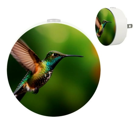 Bird Automatic night lights plug into wall Dusk to Dawn Sensor Nightlights for Kids & Adults for Bathroom Hallway
Bird Automatic night lights plug into wall Dusk to Dawn Sensor Nightlights for Kids & Adults for Bathroom Hallway