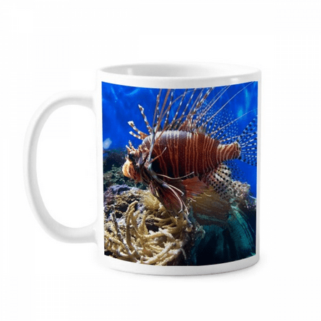Ocean Jellyfish Science Nature Picture Mug Pottery Cerac Coffee Porcelain Cup Tableware
Ocean Jellyfish Science Nature Picture Mug Pottery Cerac Coffee Porcelain Cup Tableware